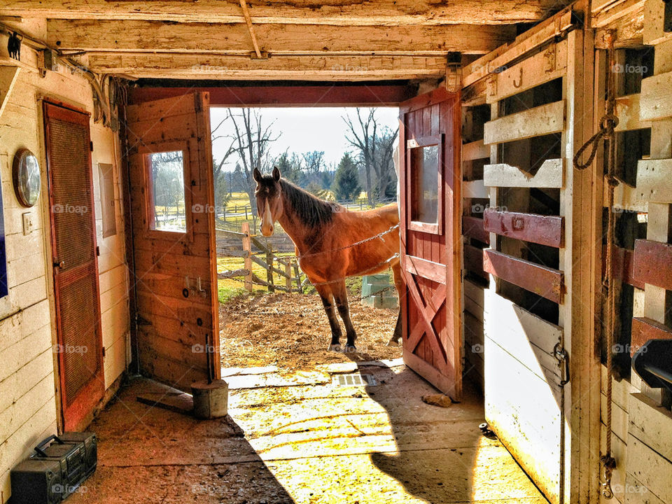 color barn horse farm by redseadeadsea