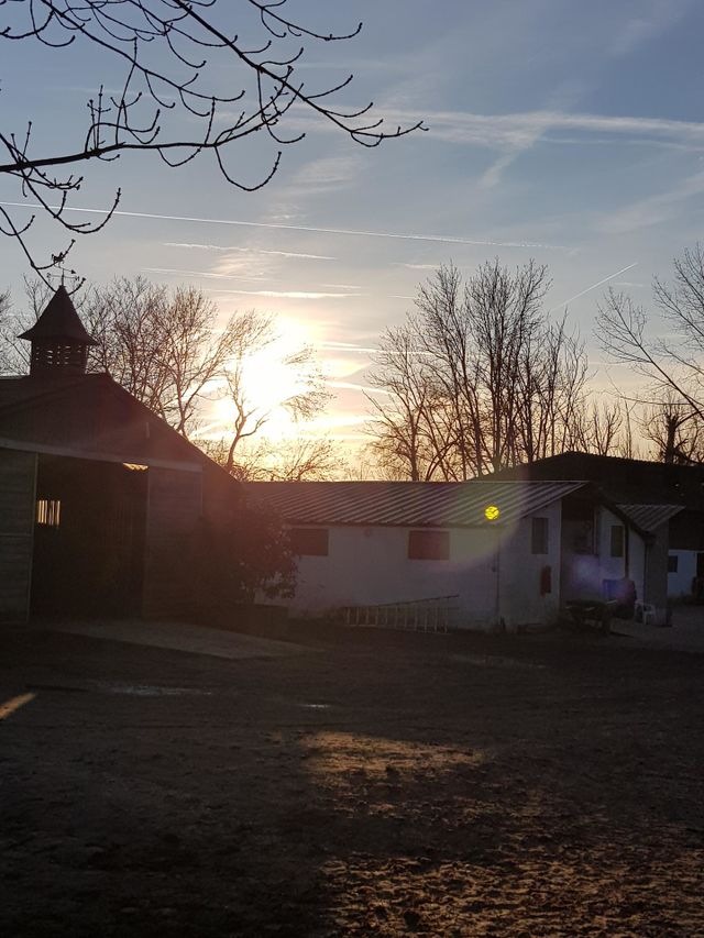 sunset