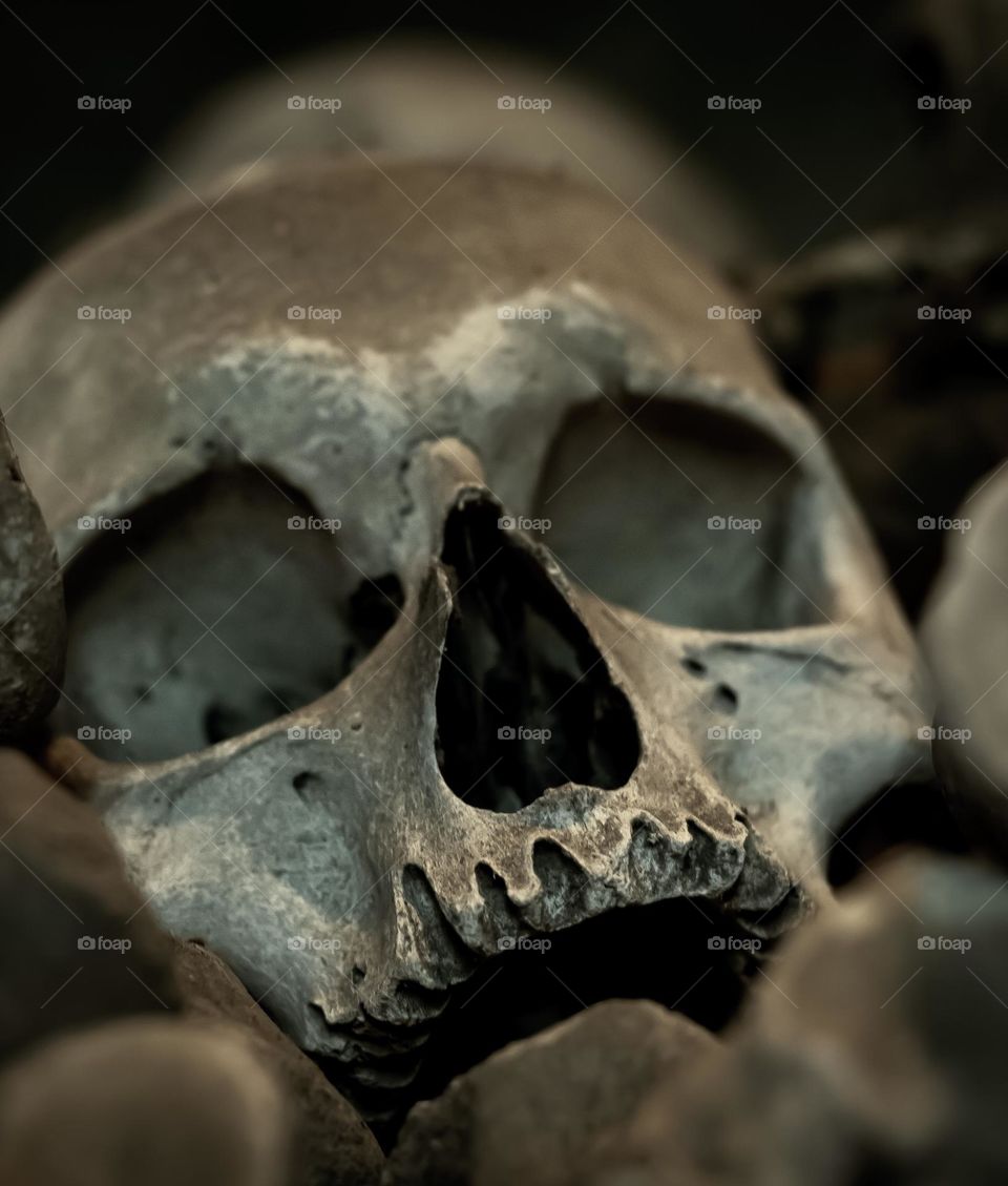 A human skulls looks upwards with a tortured expression