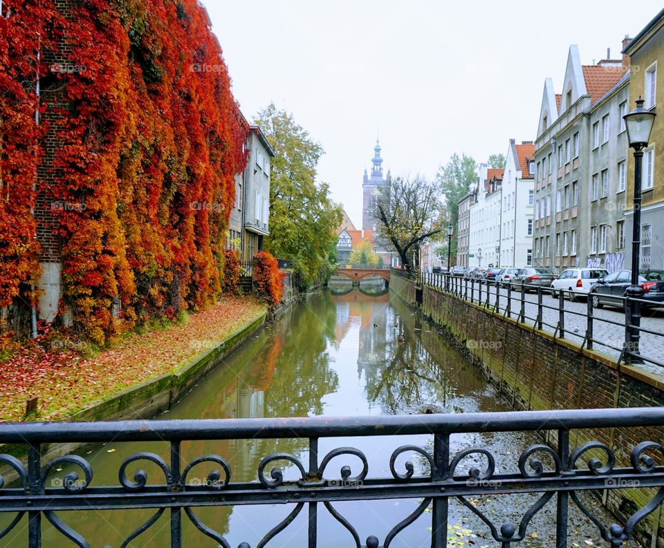 Tumbling Autumnal foliage in the city so pretty 🍂🍃🍁