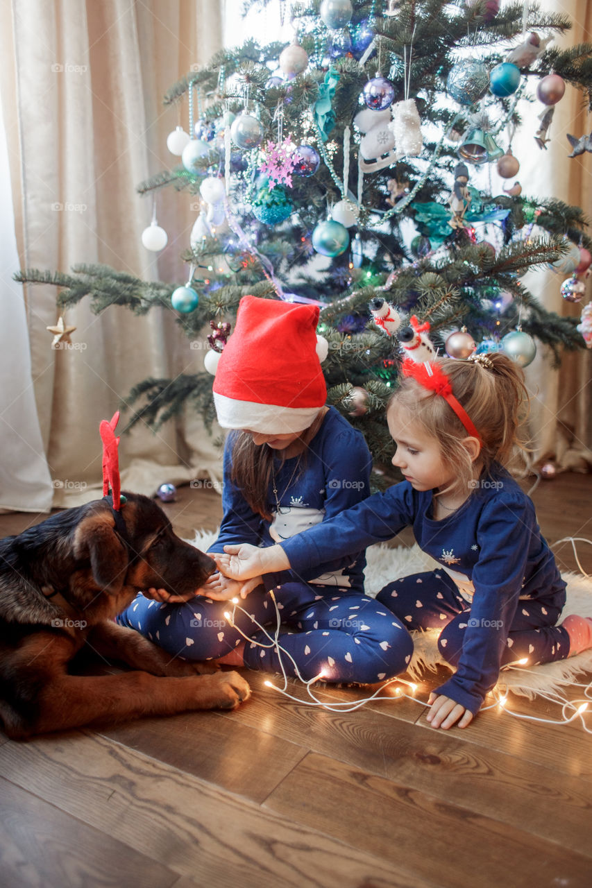 Little sisters with the puppy near Christmas tree