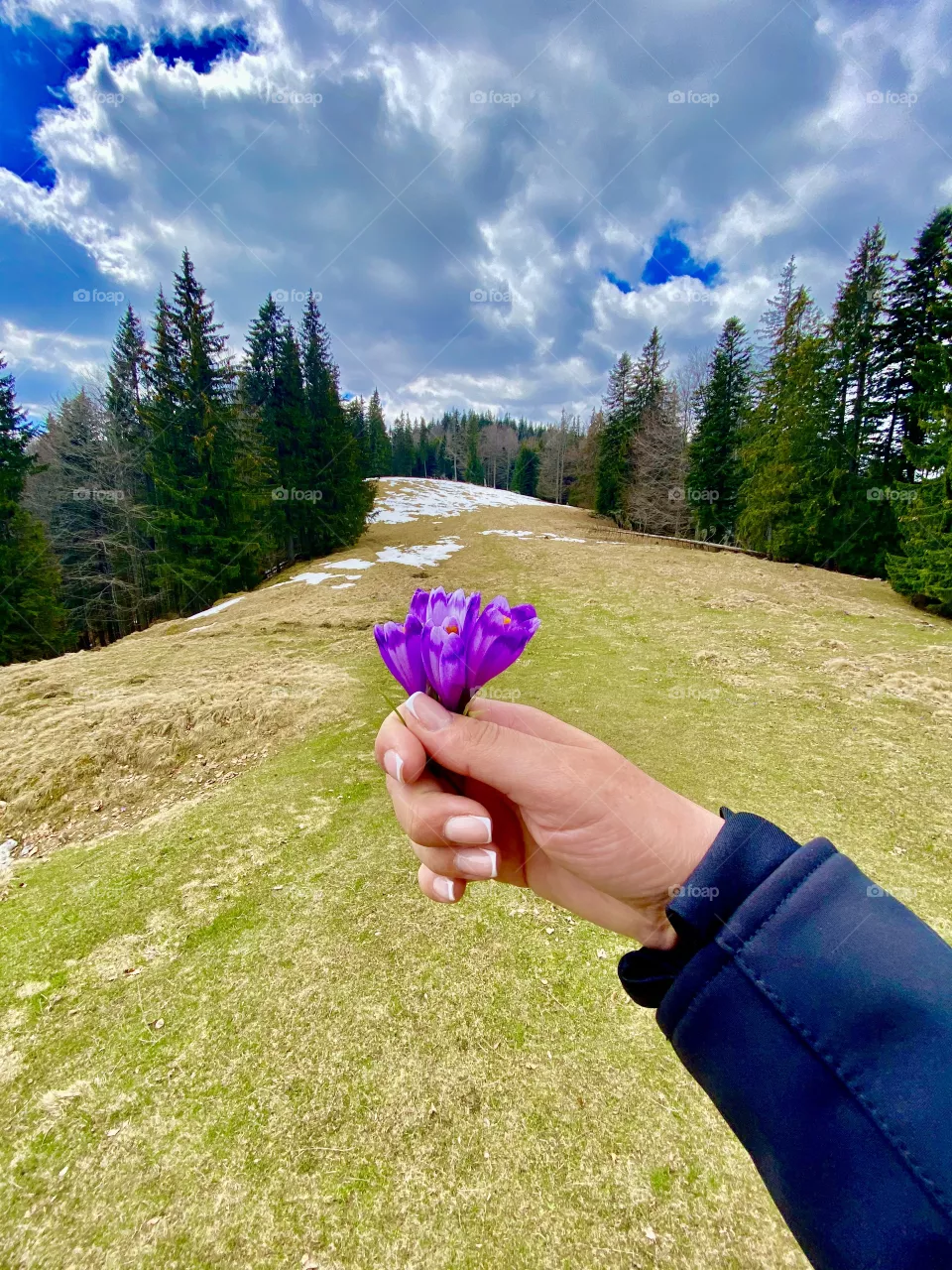 💜