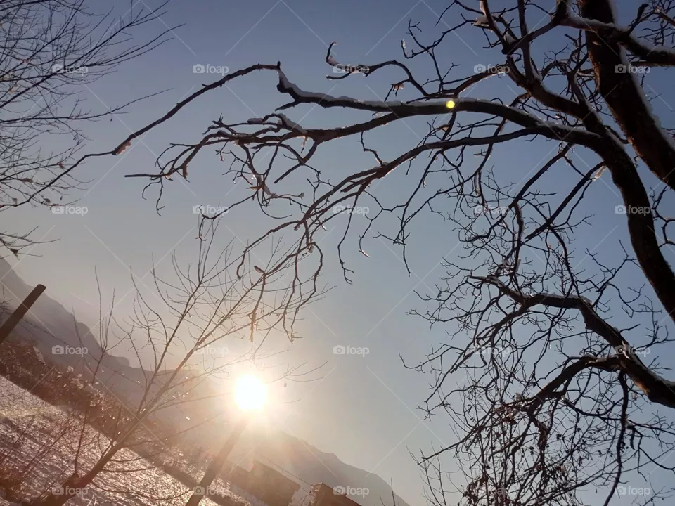 winter