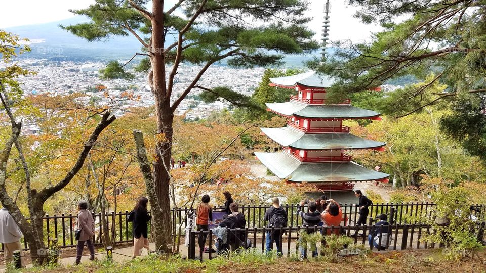 Mount Fuji views