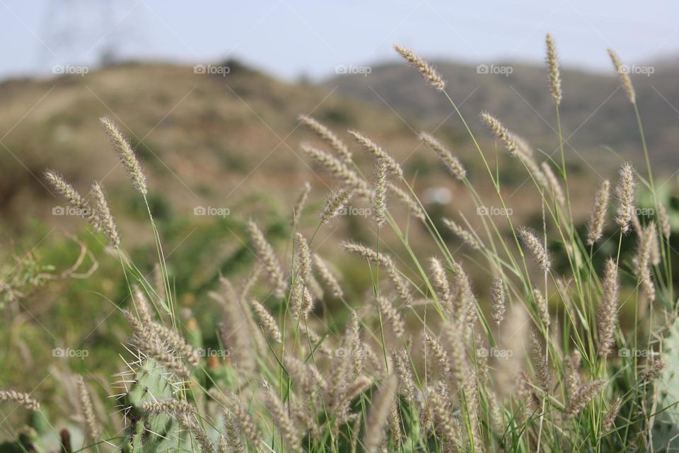 My photography in the city of Abha in the summer