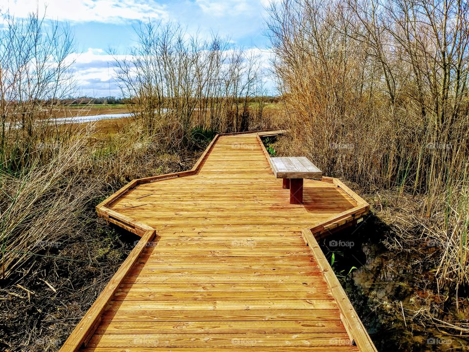 bench on raised wooden path through wetlands
