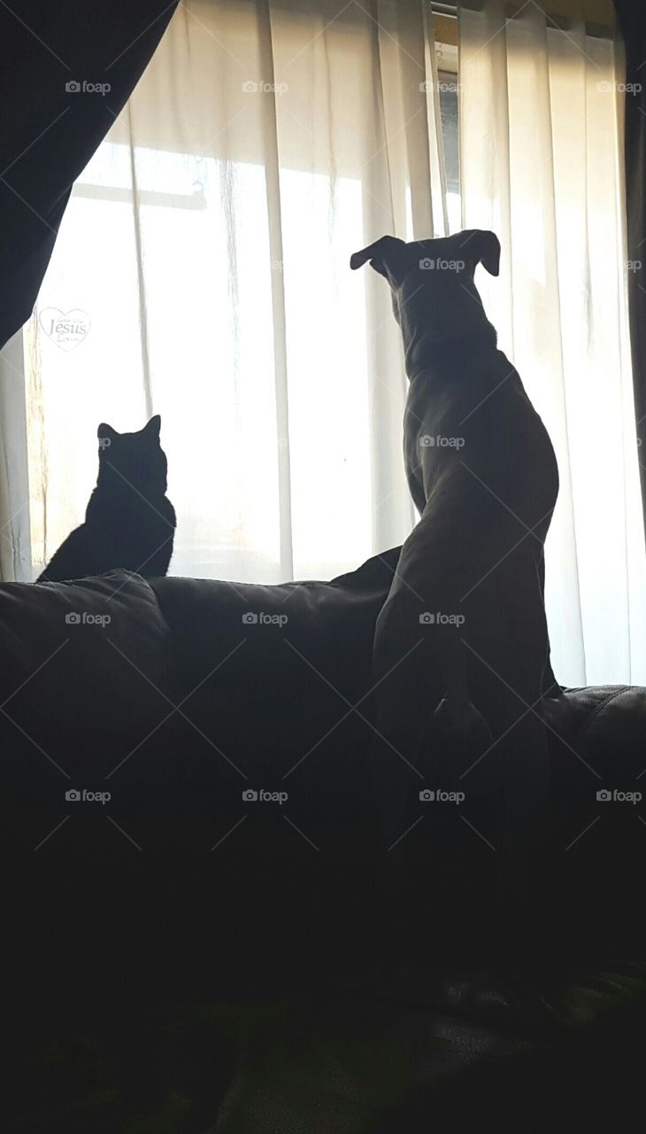 Hang'n with my brother