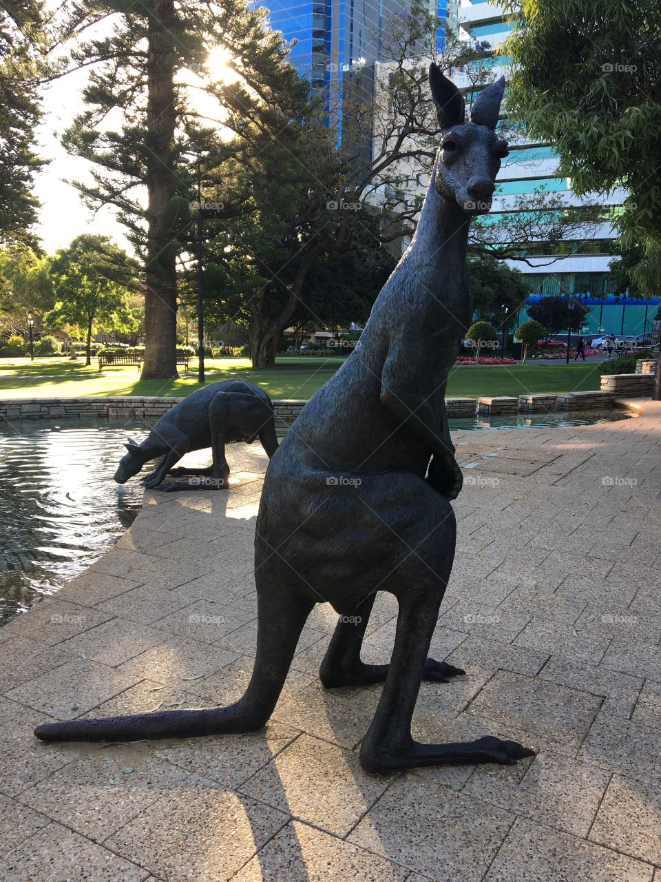 Two Statues of Kangaroo in Perth City, Western Australia.