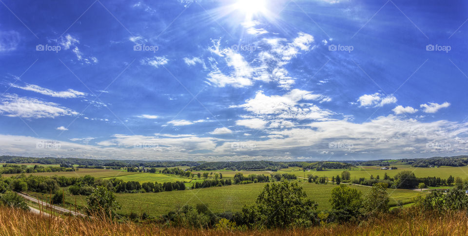 Scenic view of green landscape