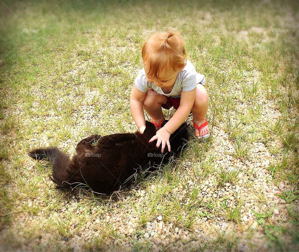 One of my favorite moments: playing with my daughter and the cat Mimi! / Um dos meus momentos favoritos: estar brincando com minha filha e o gato Mimi!