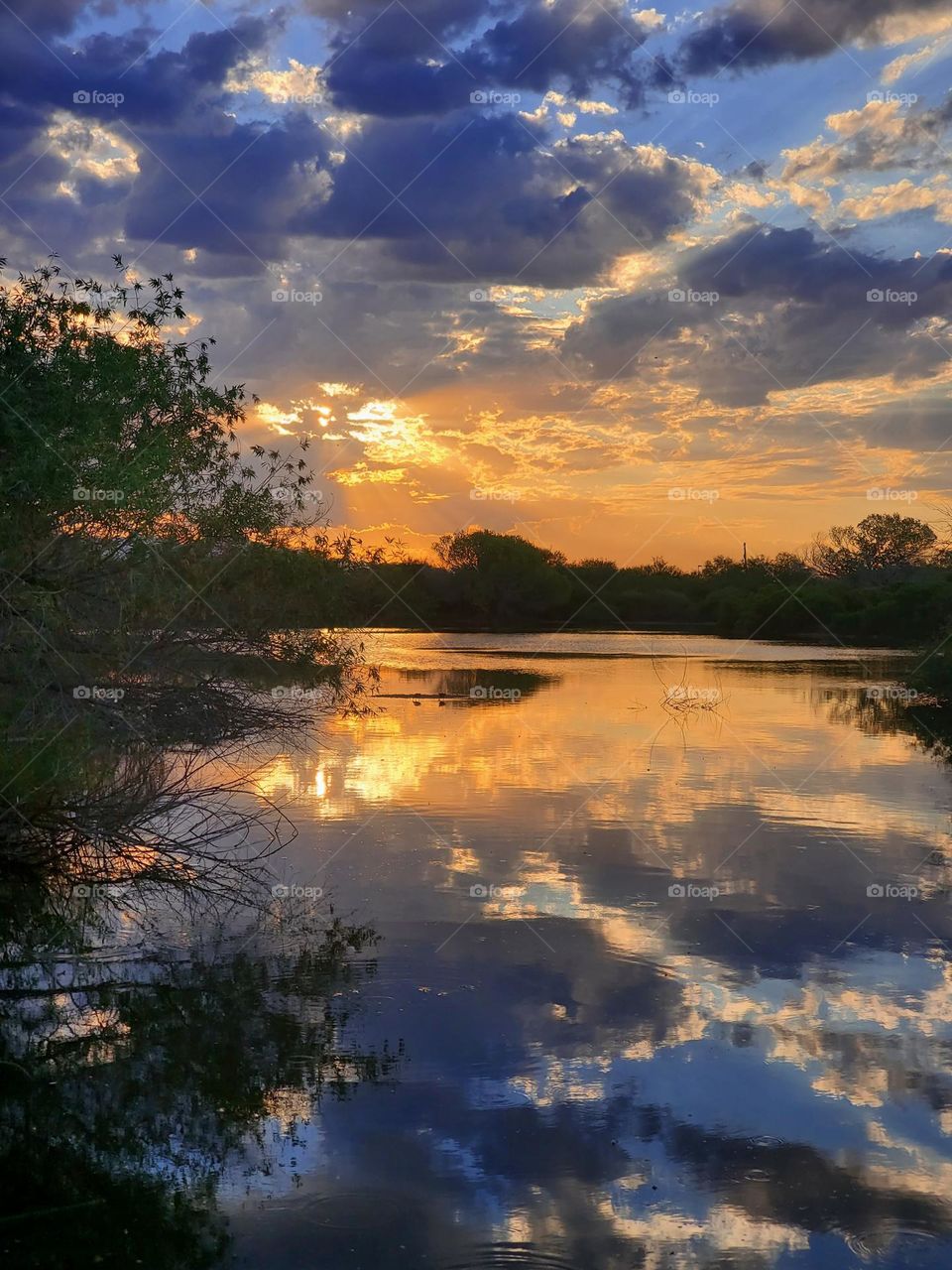 Sunrise at the Nature Reserve