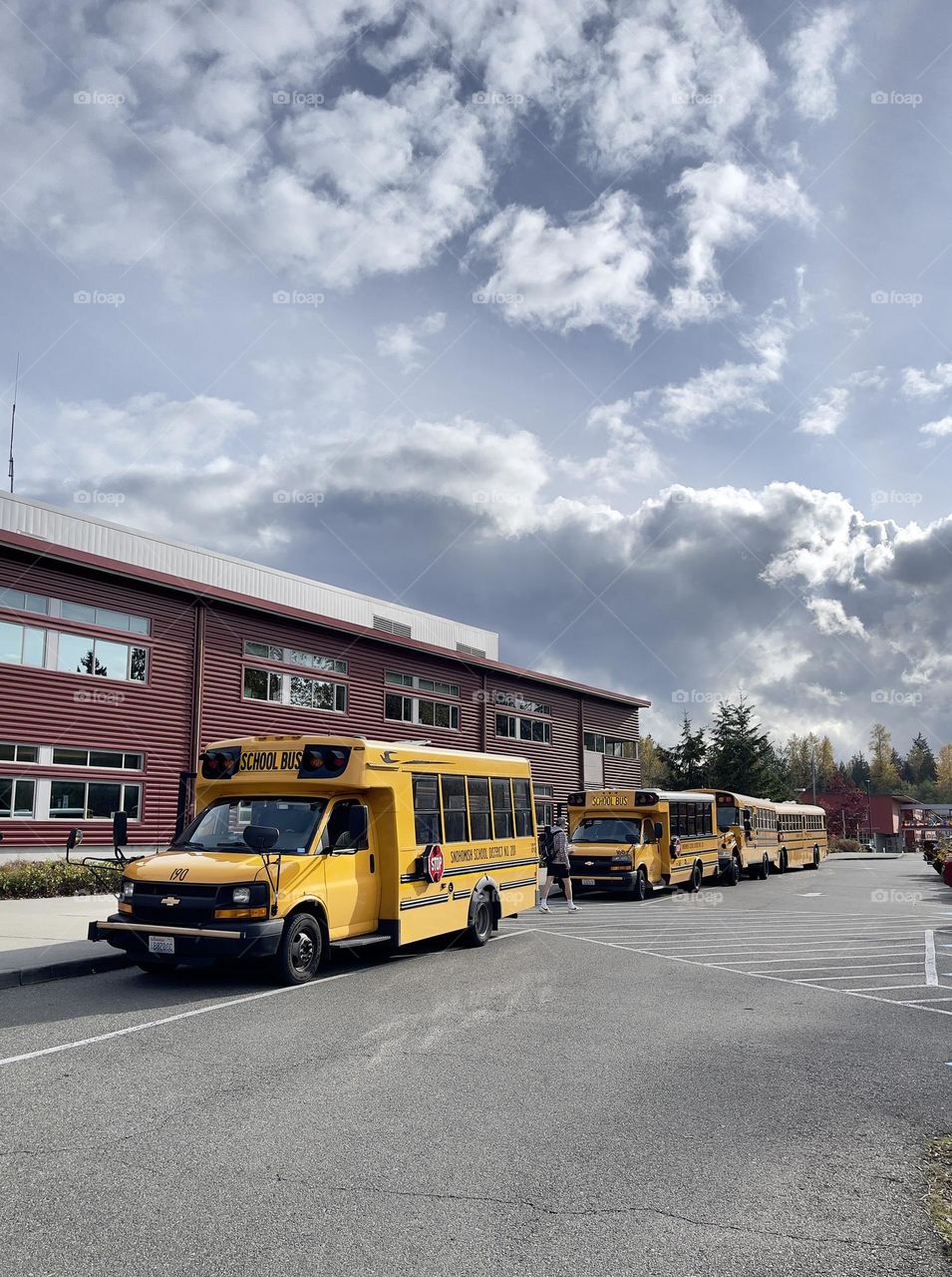 Yellow school buses 