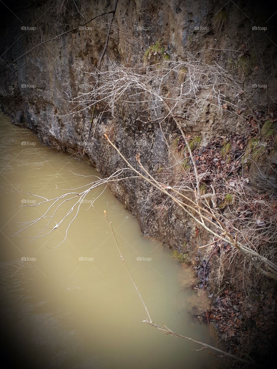 rock wall and spring