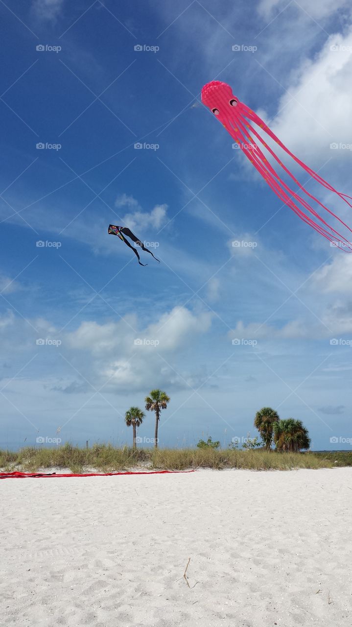 Howard Beach Kites. October 2015. Howard Beach. Tarpon Springs, Florida.