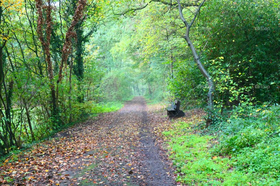 Spaziergang im Herbst