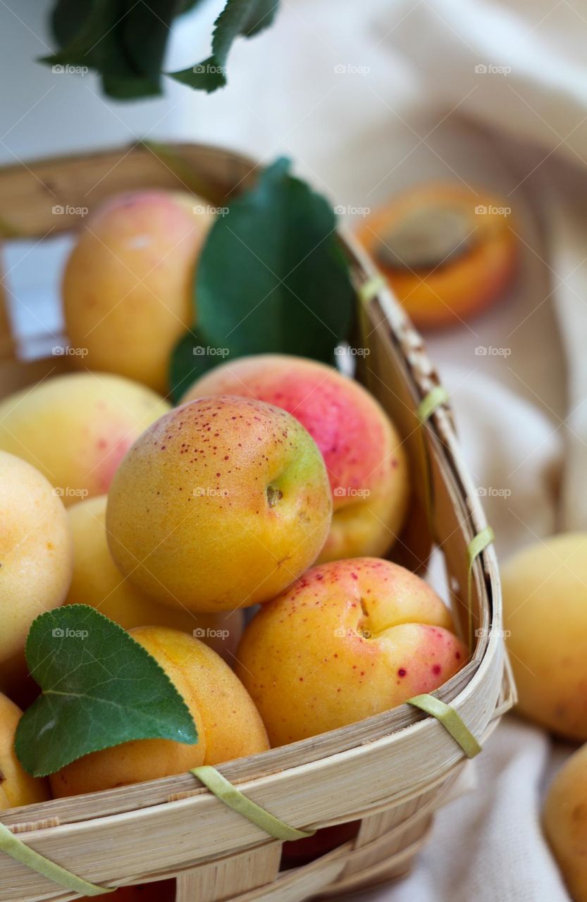 Apricots in the basket