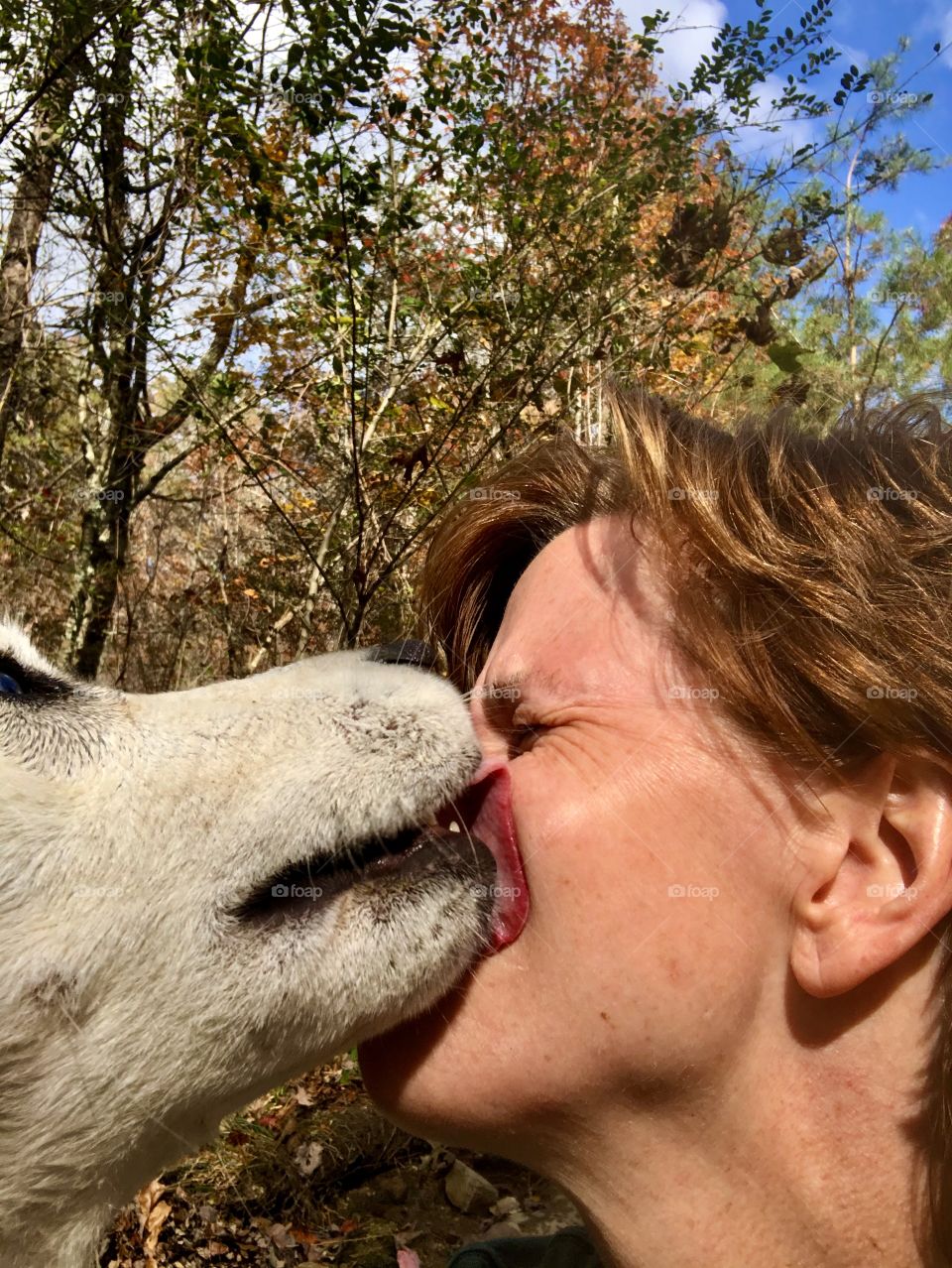 Dog licking woman’s face during selfie attempt