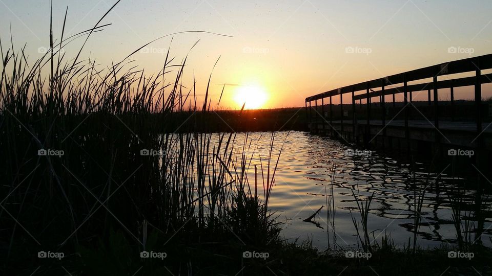 Sunset at goose pond