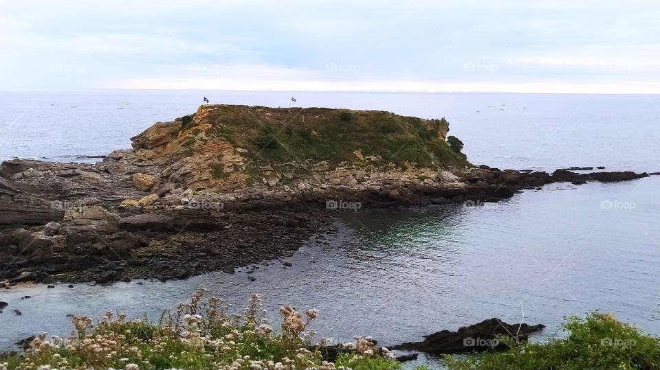 Isla de los pajaros...