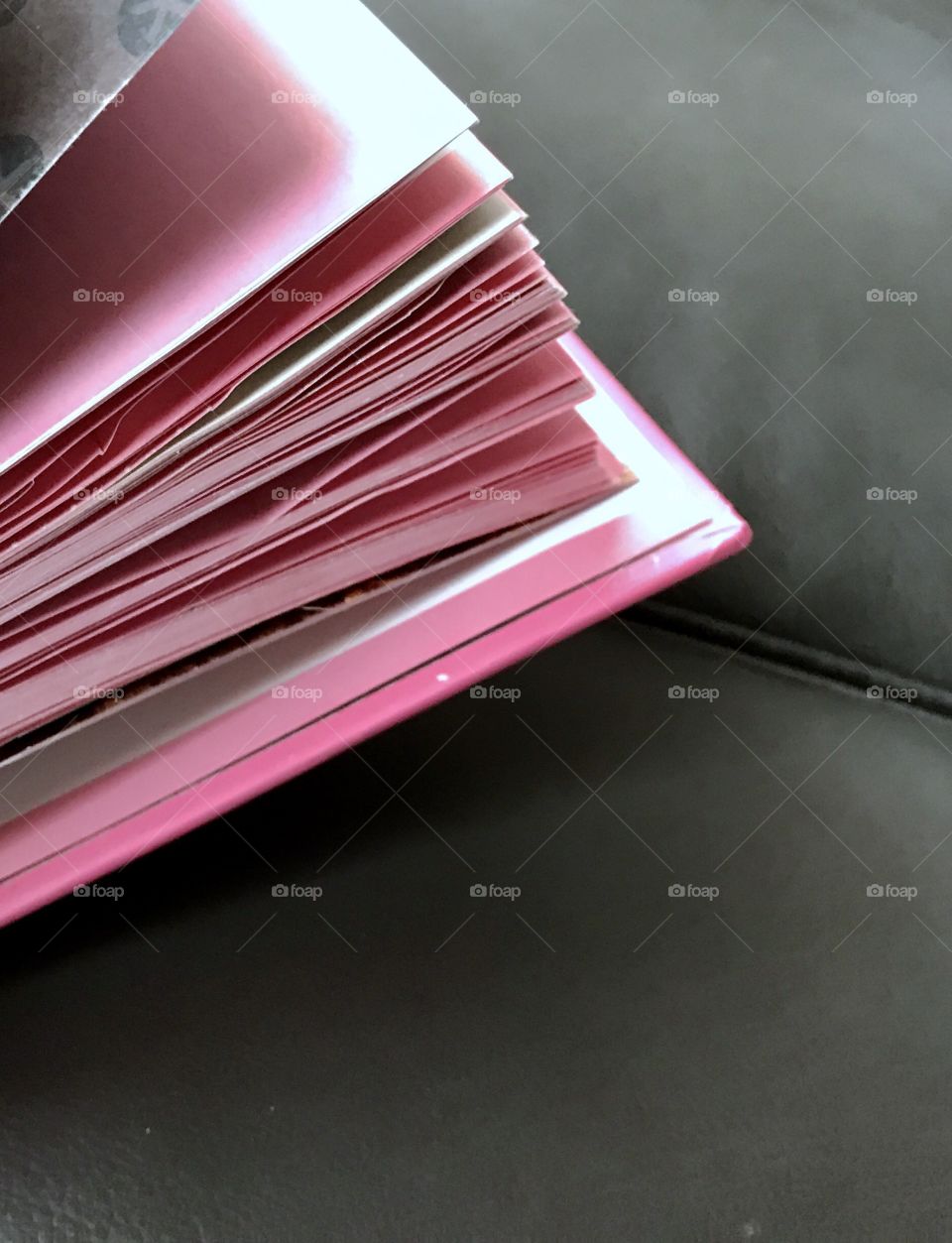 Pink Book Pink Pages