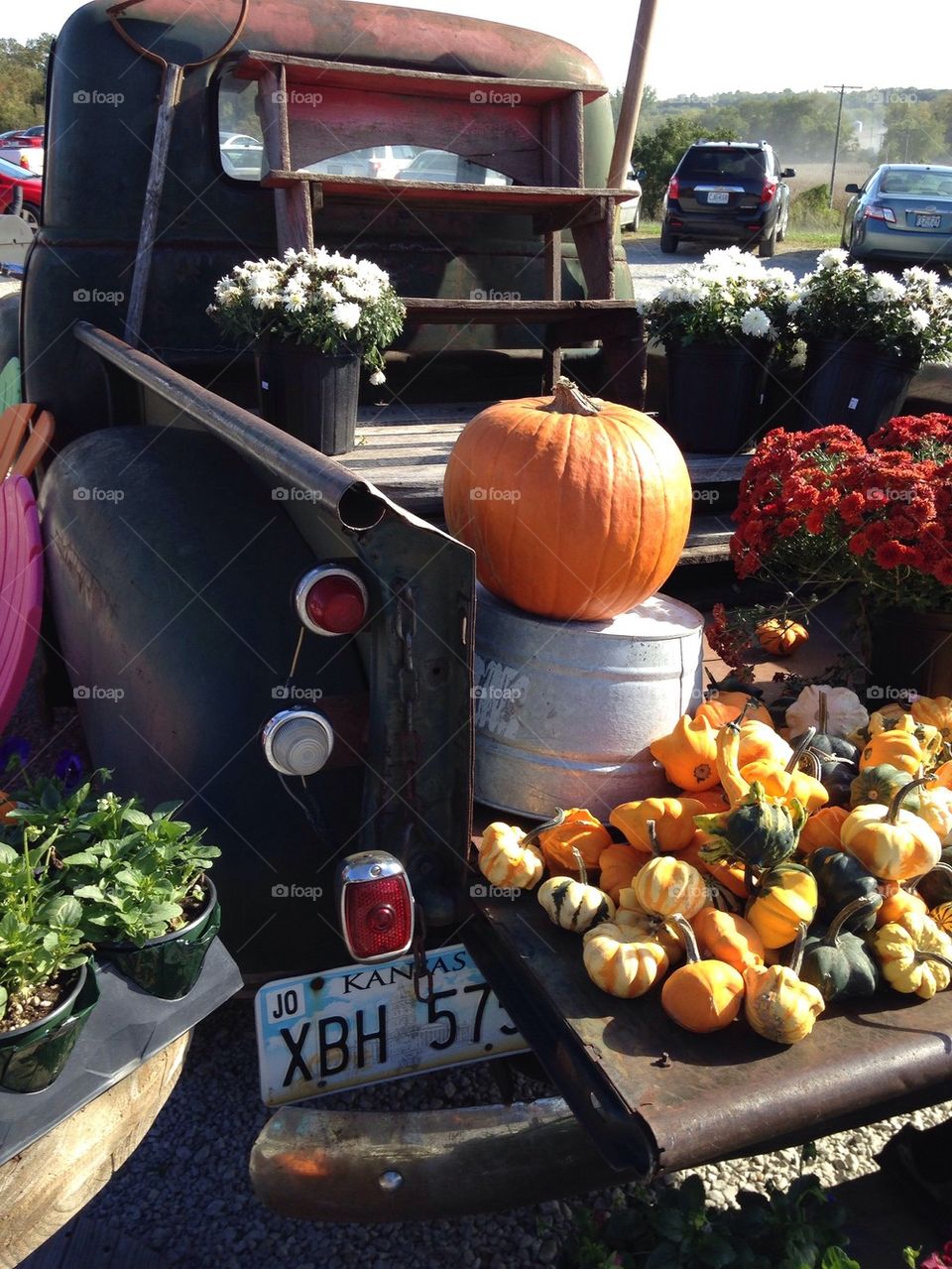 Fall Harvest