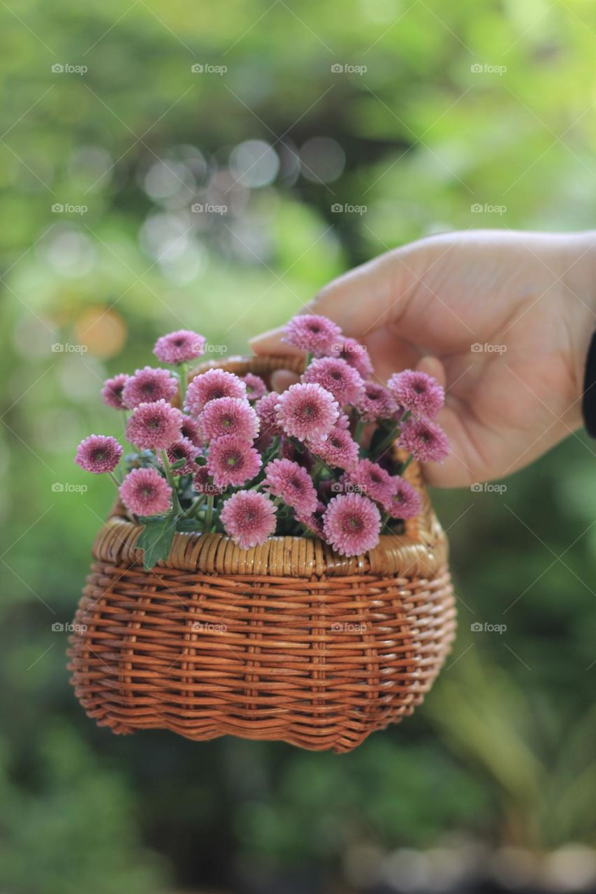 Pink flowers in a rattan vase on hand
