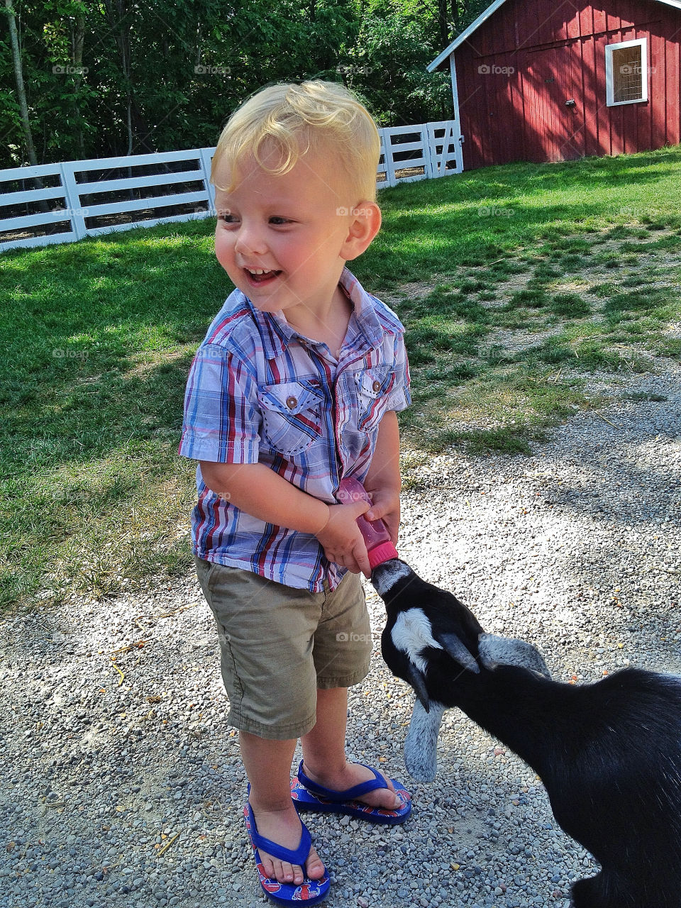 green yellow nature red by somebeach