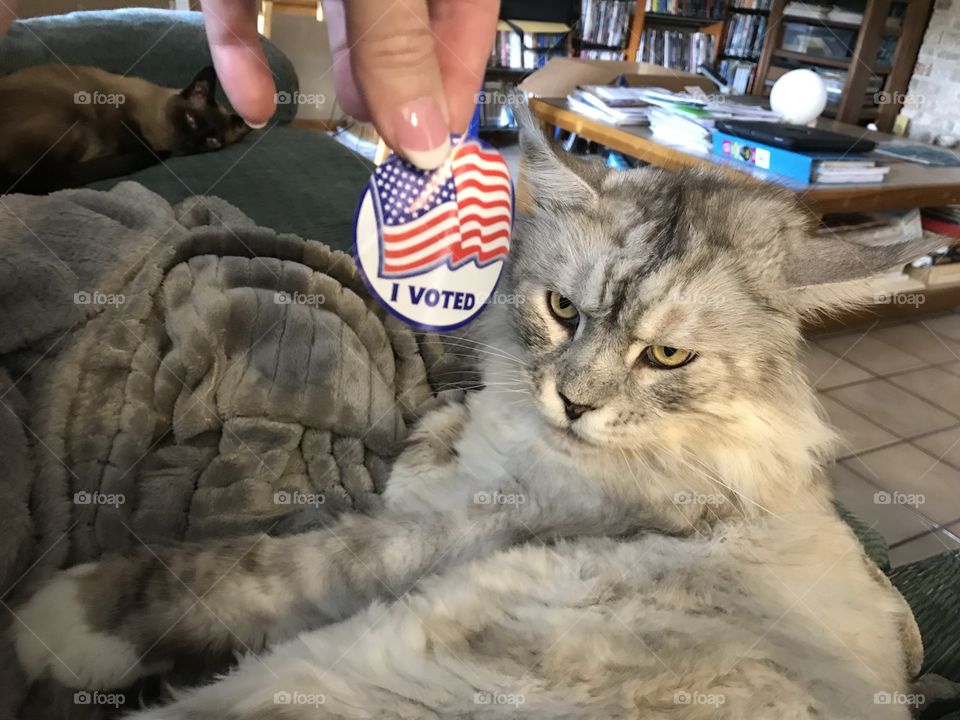 MalloyBoy said get out there and VOTE!!!!