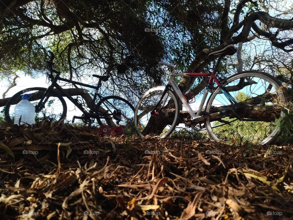 bike and landscape