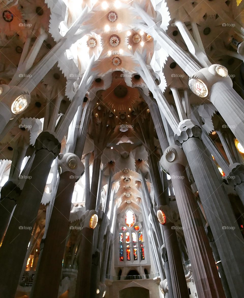 interior of sagrada familia Barcelona. looking up at ceiling and columns