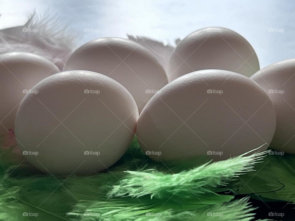 A dozen want Easter eggs laying on a bit of green feathers