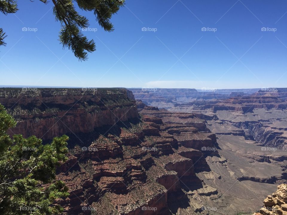 Grand Canyon . Grand Canyon 
