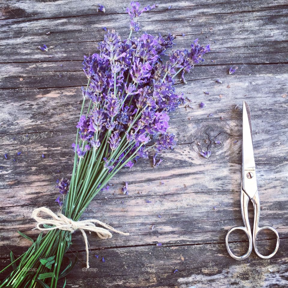 Elevated view of lavender flower and scissors on wood