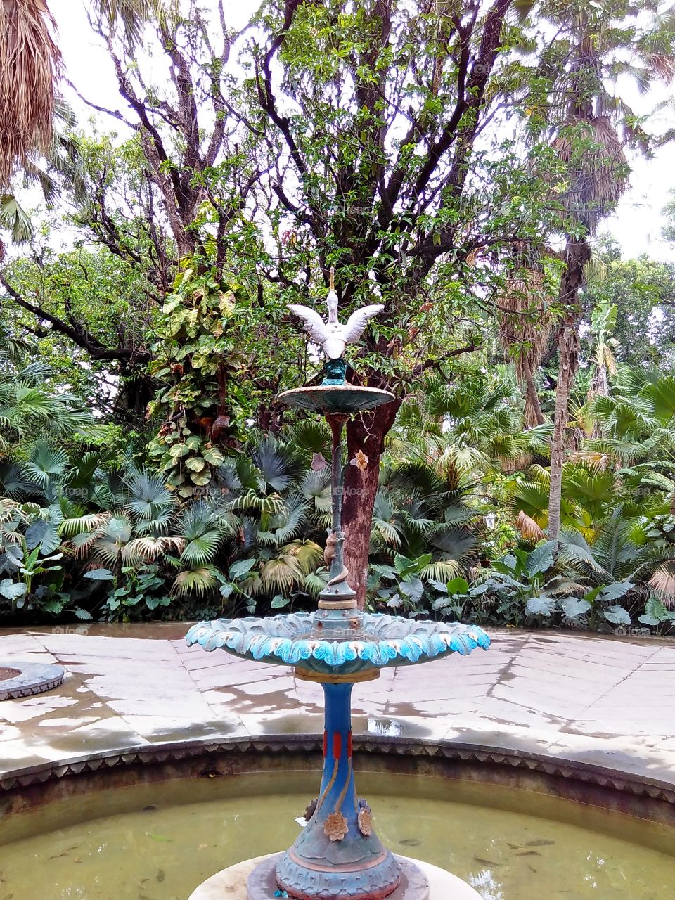 This is just view of water fountain. That is situated in Udaipur India. The name of water fountain is "Sawan Bhado". English meaning of "Sawan Bhado" means the raindrops of mansoon (rainy season in India).