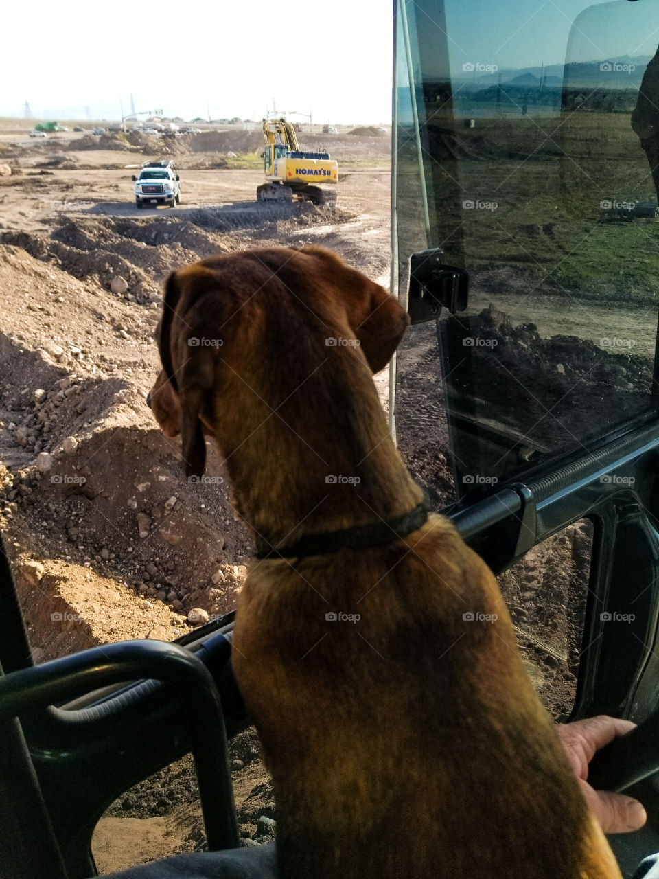 it's five o'olock somewhere!