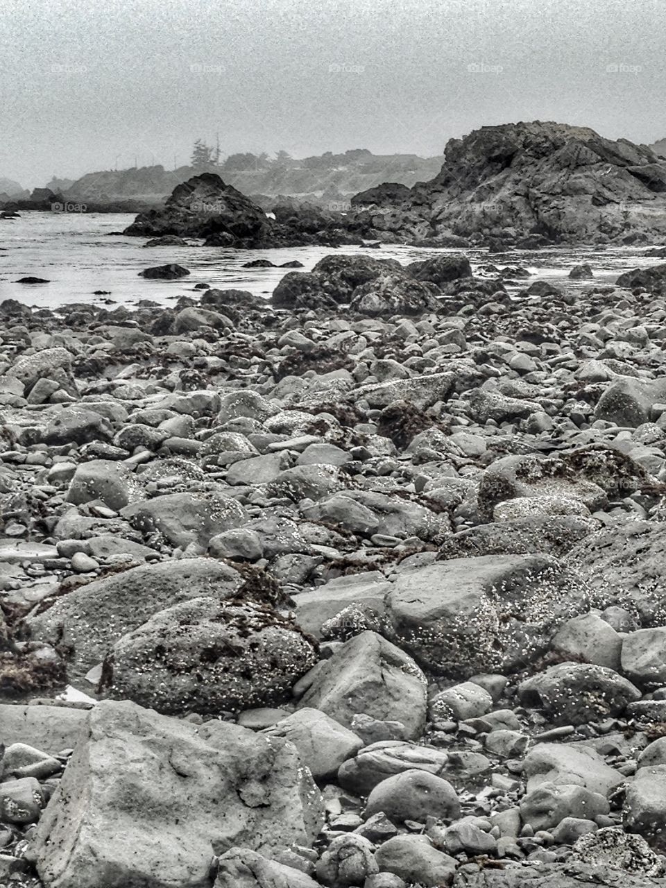 Sky, fog, sea, rocks, shades of grey everyone. 