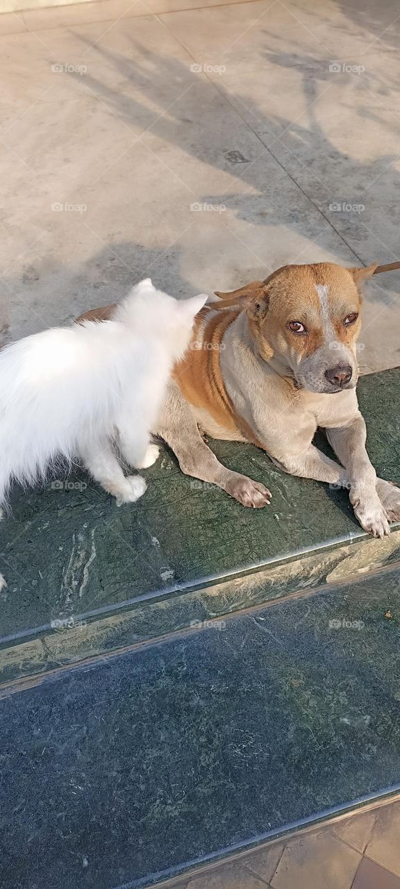 friends are made in heaven on earth just as they meet up and live happily.