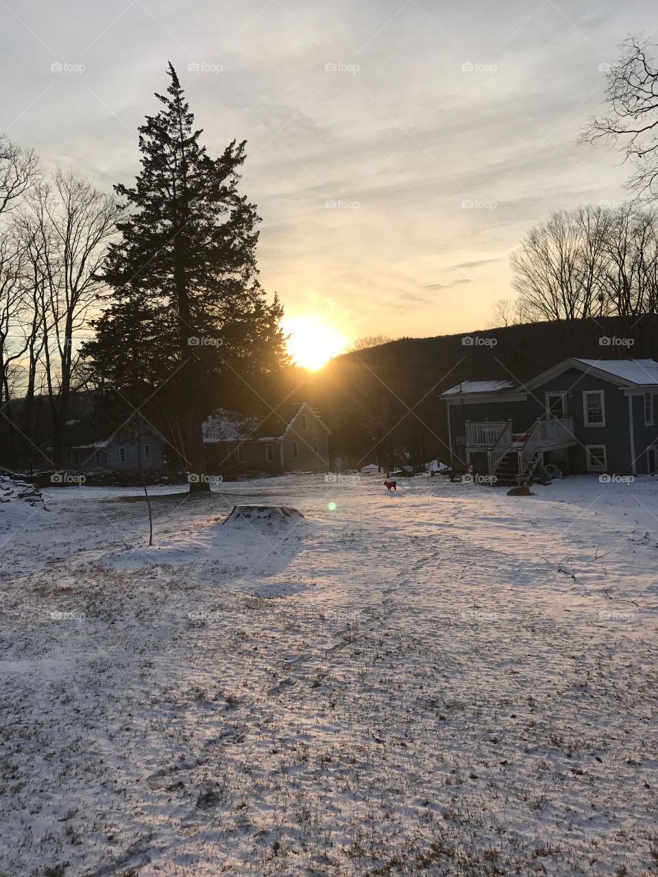 Connecticut Winter