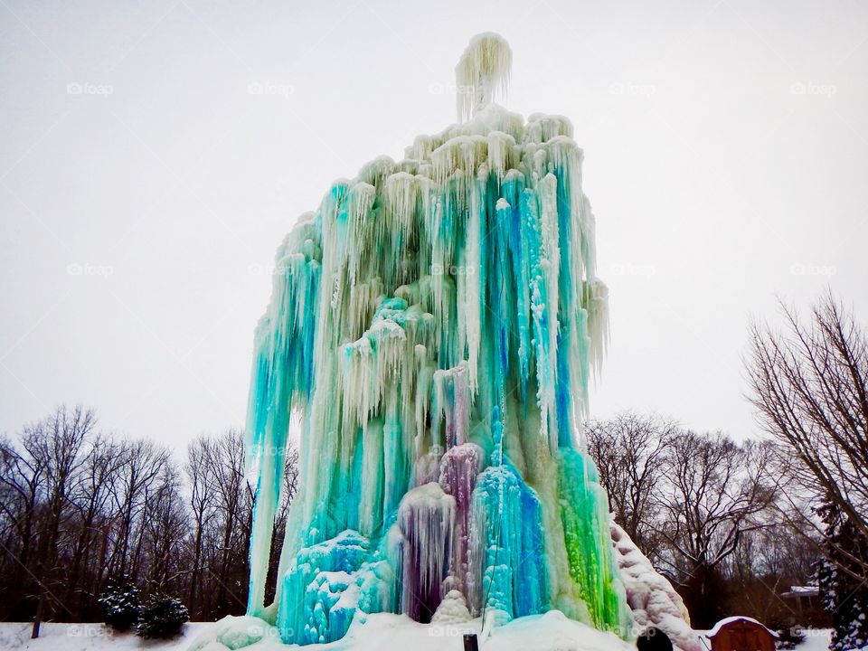Ice tree in Indiana. 