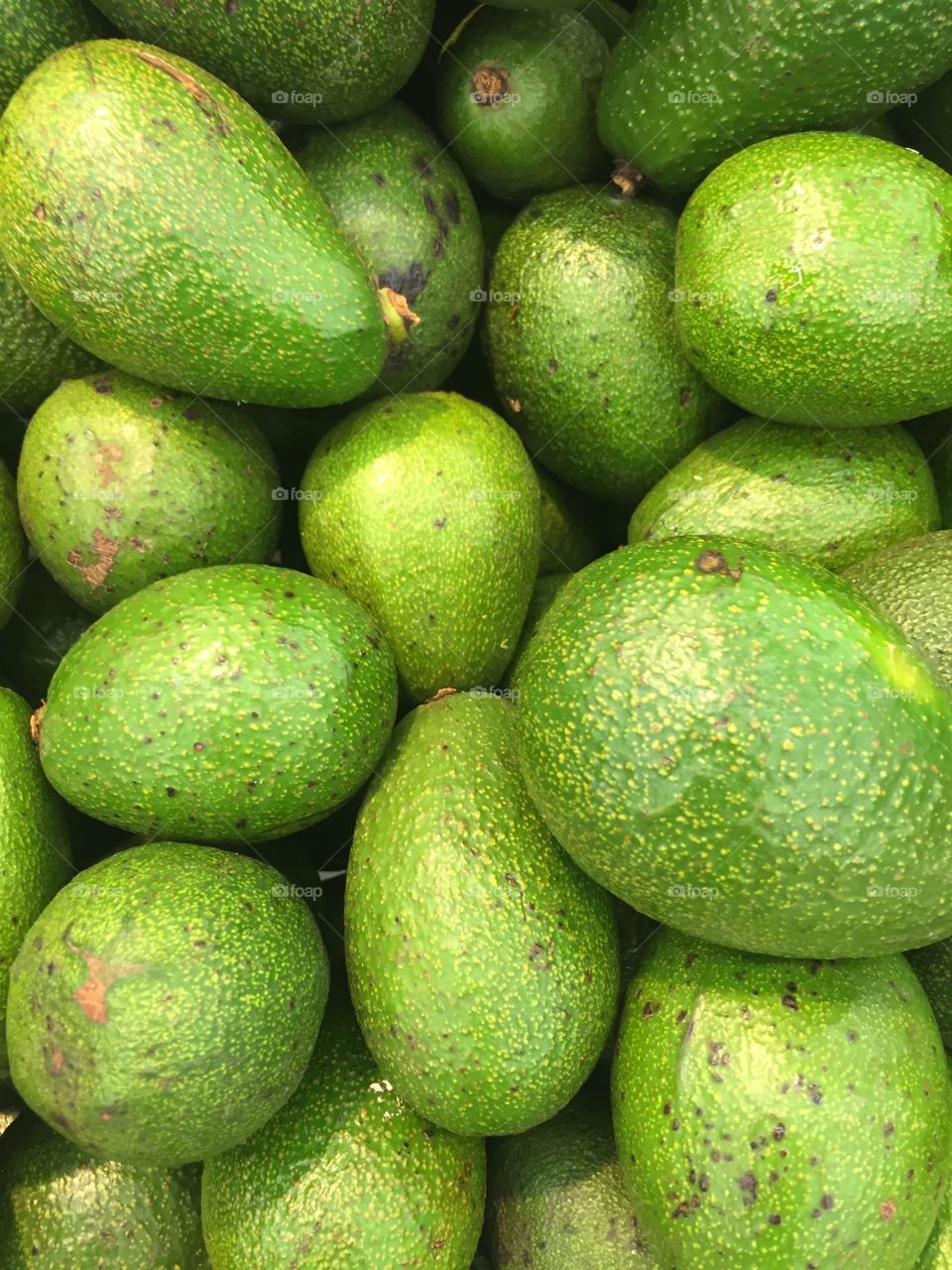 Fresh avocados 