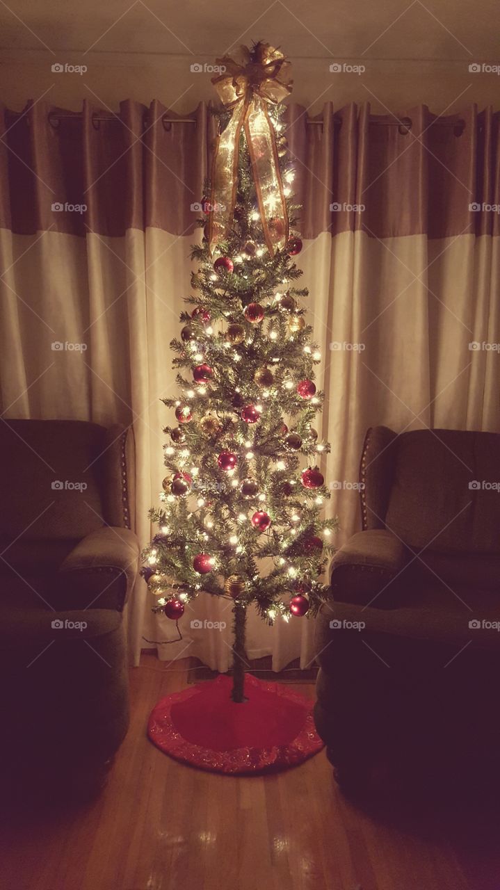 Decorated Christmas Tree