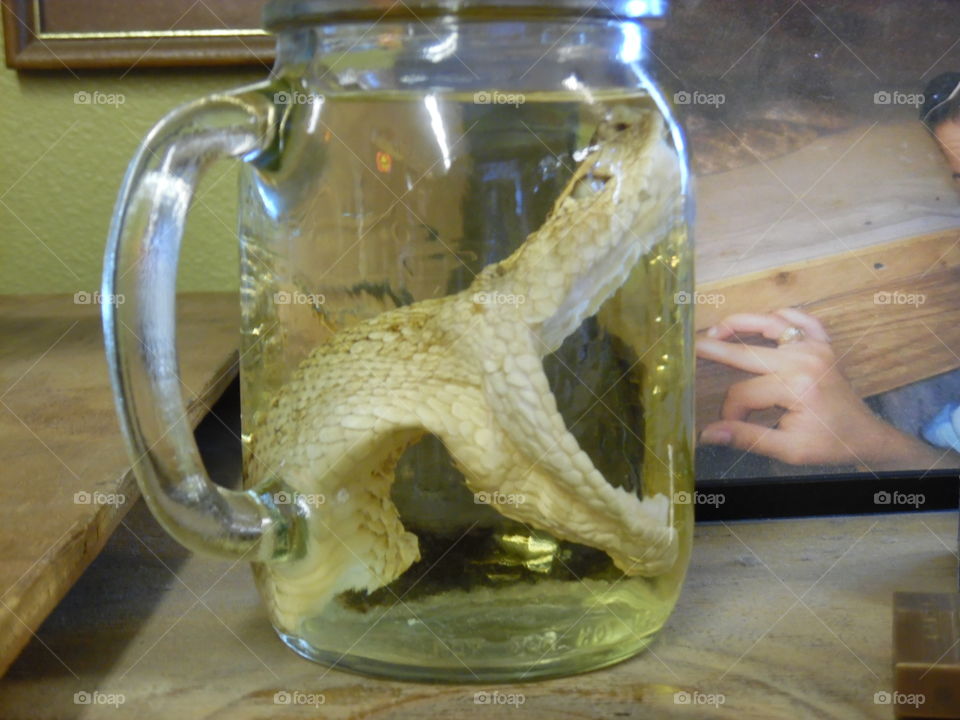 pickle snake 🐍. This is a vacation photo 📷 that I took while visiting port Aransas Texas. 👣 🚶 🏃 🔥 💨