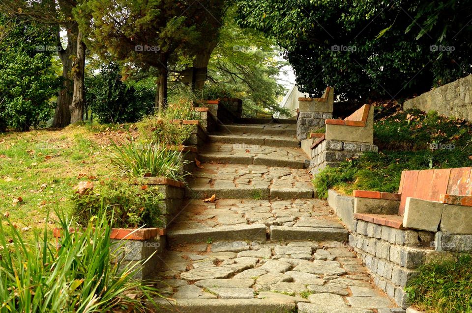 View of staircase at public park