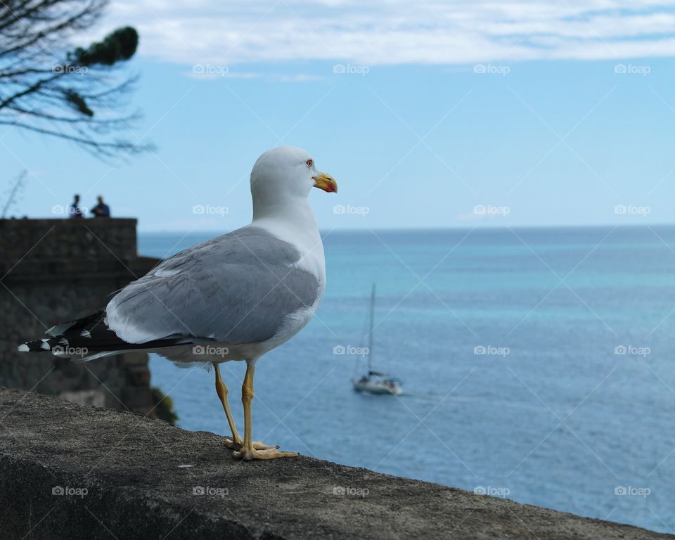 Admiring the view too 