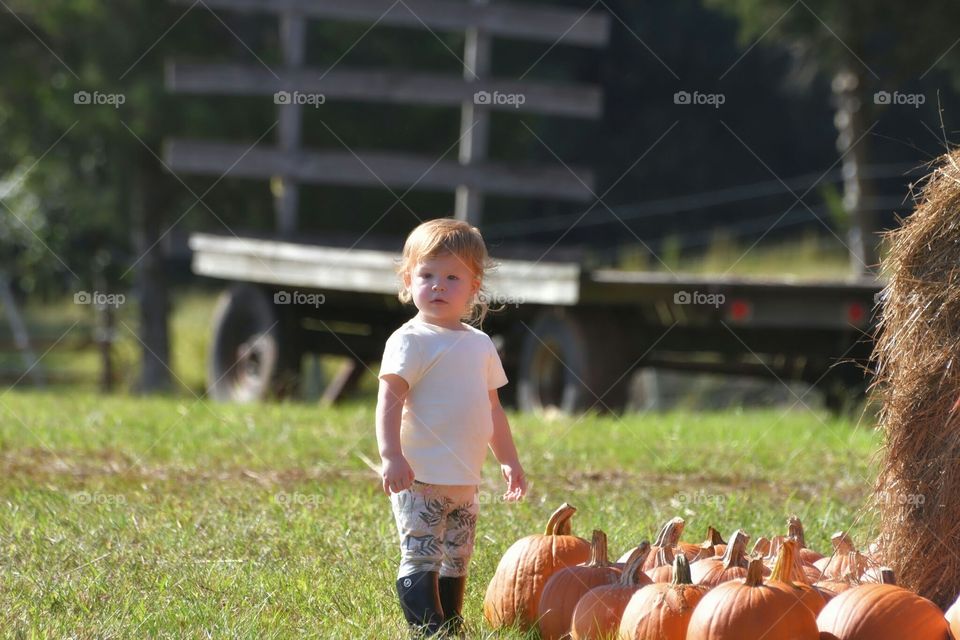 day at the farm