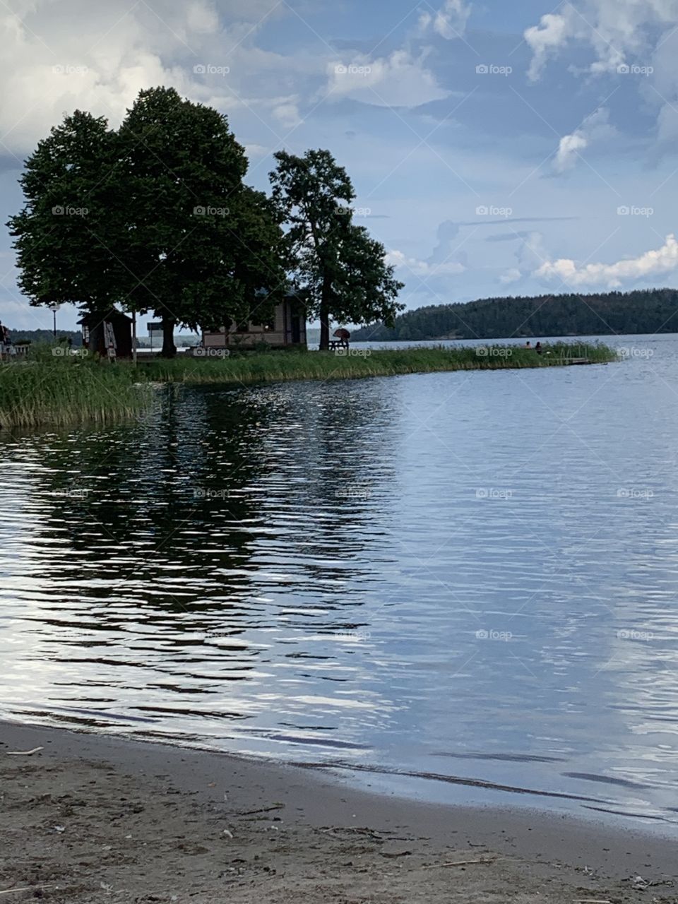 Summer evening by lake
