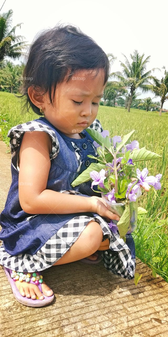 my son is busy collecting flowers on the edge of the rice field