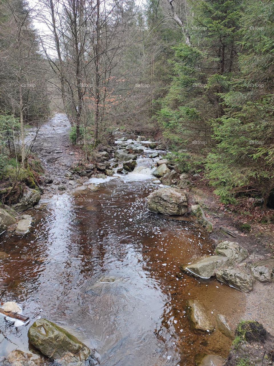 Walk in the woods, Bayehon waterfall, Belgian Ardennes