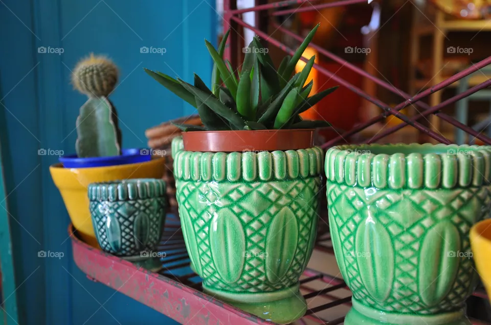 Green Vase
