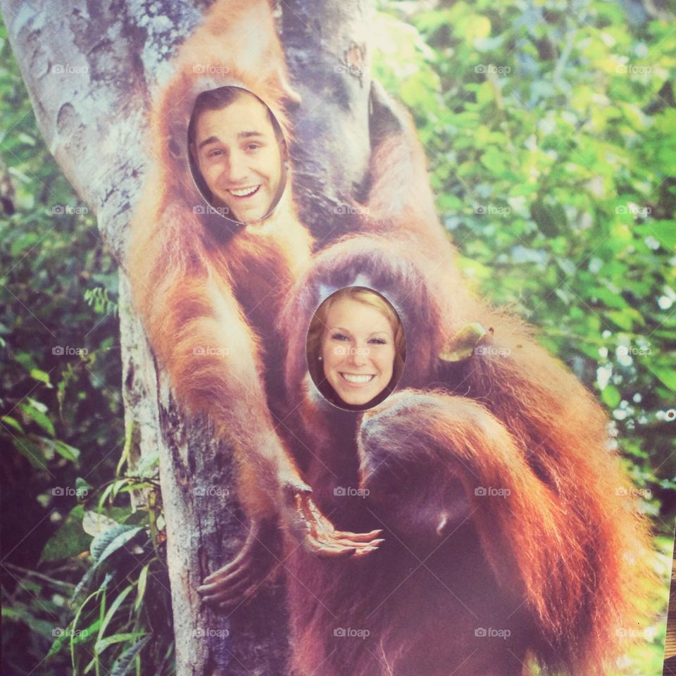 Monkey see monkey do 